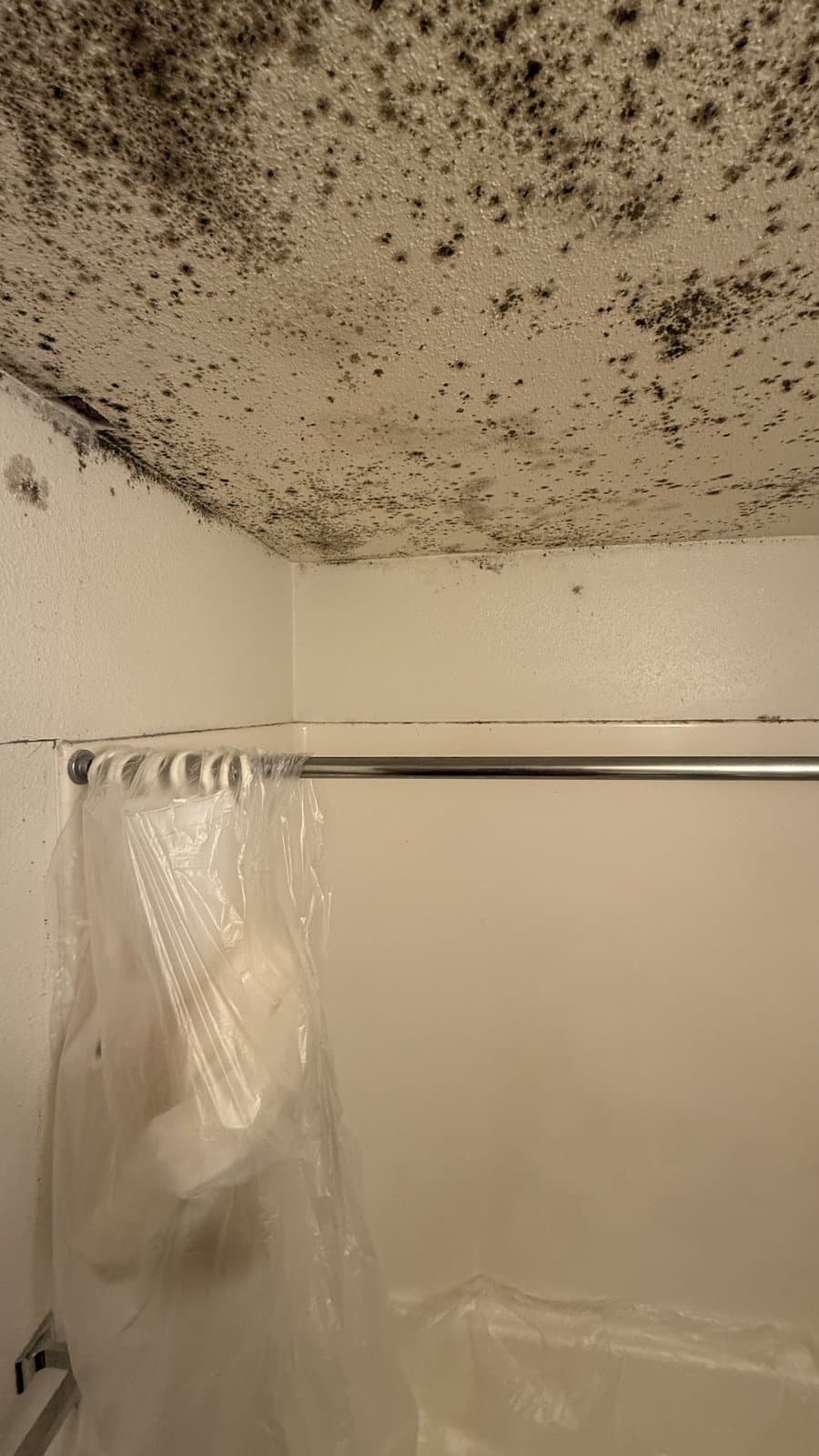 Mold Remediation