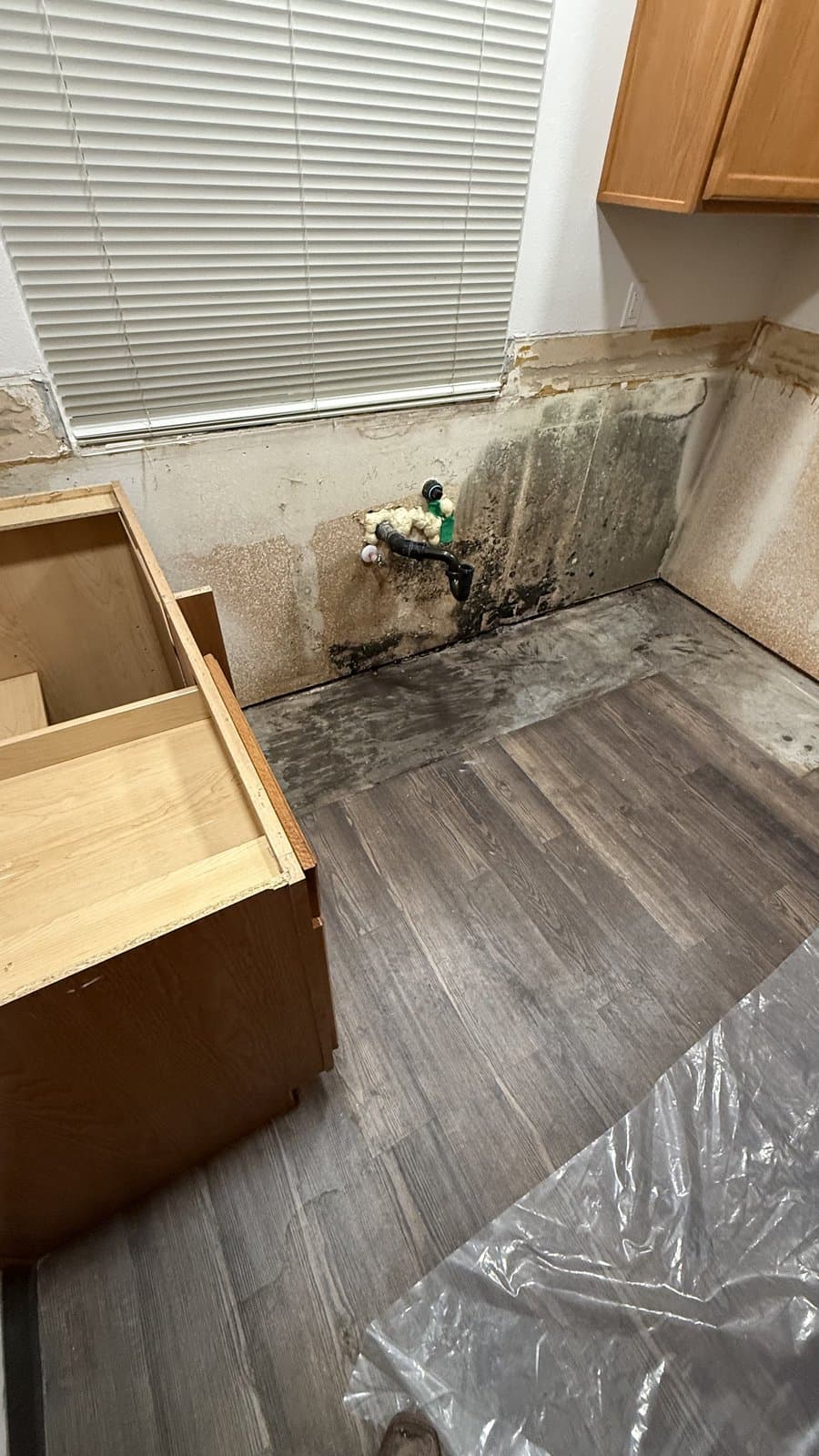 Water-damaged wall with visible mold and exposed subfloor
